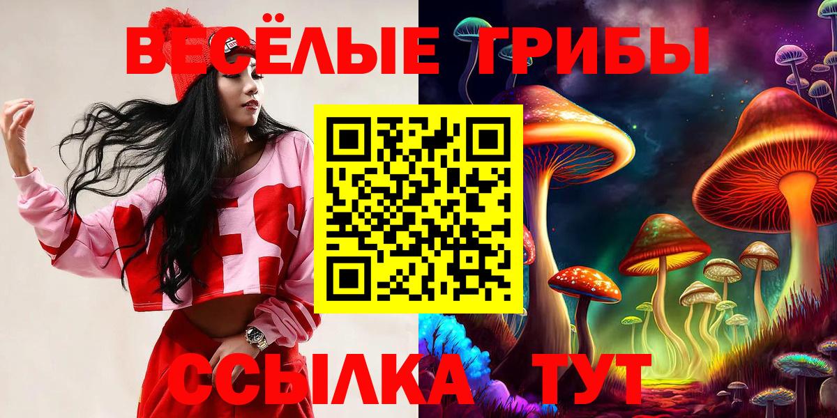 Псилоцибиновые грибы Psilocybine cubensis  Вход с VPN  Комсомольск-на-Амуре 