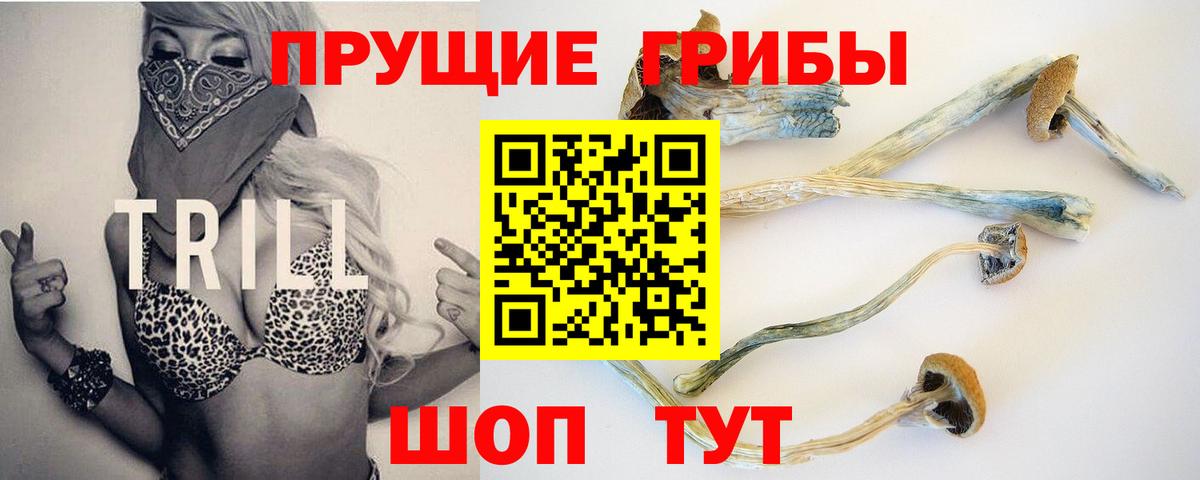 Псилоцибиновые грибы ЛСД Комсомольск-на-Амуре